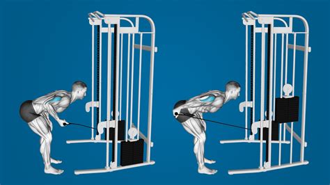 tricep kickbacks cable|Cable Tricep Kickback